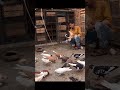 Beautiful video about pigeon