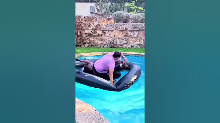 RETOS en la PISCINA con Lyna y Dani 😂🌊 NO CAIGAS DEL TORO 😱