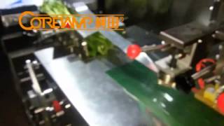 PACKAGING SPINACH WRAPPER , FLOW PACK MACHINE FOR green leafy vegetable