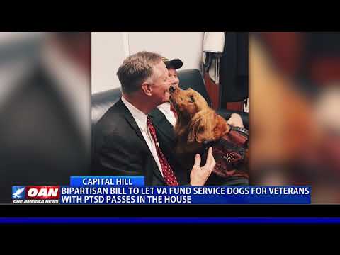 Bipartisan bill to let Va. fund service dogs for veterans with PTSD passes in the House