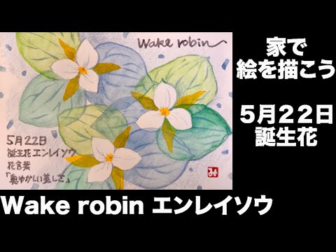 最も選択された 5 月 5 日 誕生 花 乾いた壁