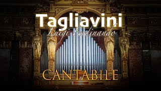 Luigi Ferdinando Tagliavini - Cantabile