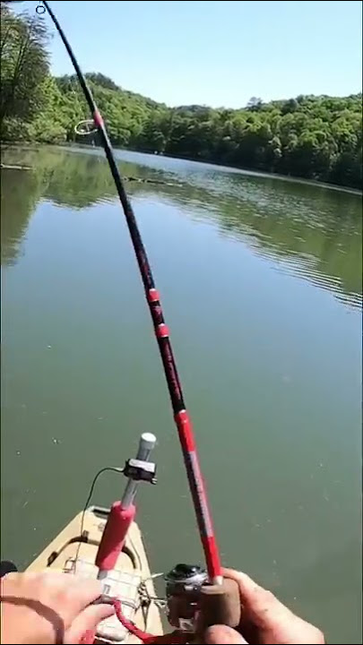 I caught a GIANT BLUEGILL during the FULL MOON!!!