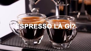 Cà phê espresso là gì? Cách tạo ra 1 li cà phê espresso chuẩn Ý( How to make a espresso cup)