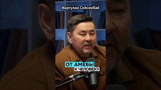 Эволюция сознания: человек — не венец, а мост к синтетическому разуму — Маргулан Сейсембай