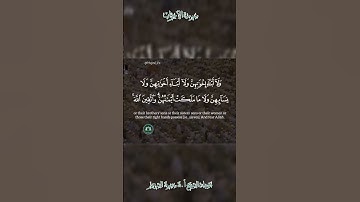 تلاوة قديمة 🕊 سورة الأحزاب  🕊   لفضيلة الشيخ أ.د سعود بن إبراهيم الشريم