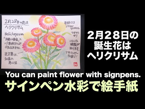 2月28日の誕生花はヘリクリサム サインペン水彩で絵手紙 You Can Paint Flower With Signpens Youtube