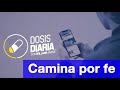 Dosis Diaria Roka - Camina por fe