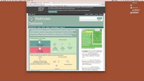 M1 Networks II BioModels