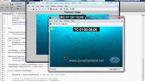 Unsupervised Underwater Fish Detection Fusing Flow and Objectiveness