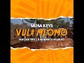 Musa keys  vula mlomo feat sir trill  nobantu vilakazi official audio