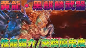 グラブル 四象降臨 黄龍 黒麒麟武器交換優先度 初心者向け Youtube