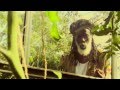 Clip vidéo : Ashanti Roy & Pura Vida - Nature is life 