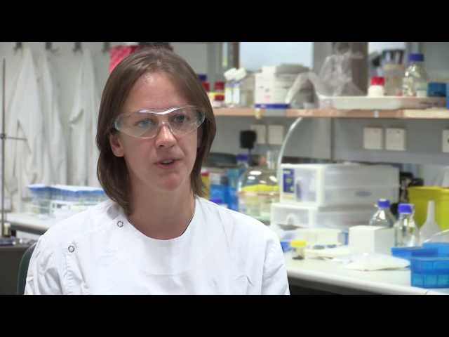 Watch Research to Support Cell Growth on YouTube.