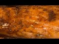 Butter Lemon Honey Glazed Salmon