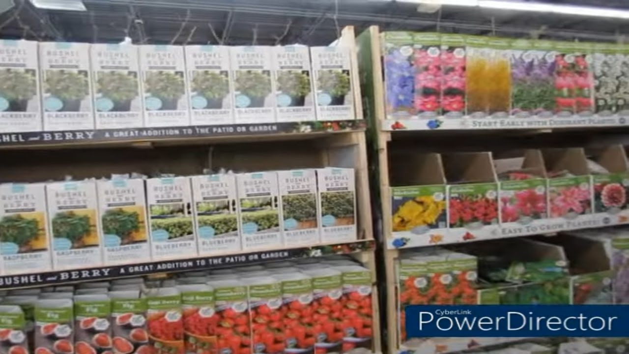 They Got Bare Root Trees Tractor Supply Run Gardening Supplies Chick