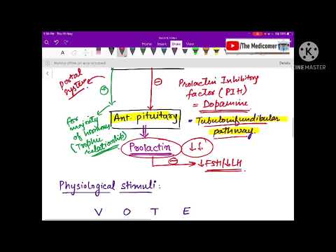 Endocrine physiology - Prolactin, Hyperprolactinemia and Prolactinoma