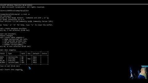 Database sederhana menggunakan lewat CMD & XAMPP  work 100