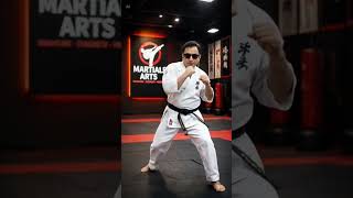 Martial Arts Warrior Mode 🥋 Insane Skills, Fast Kicks &amp; Action Scenes