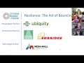 Resilience the art of bouncing back