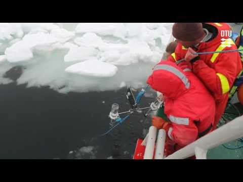 Video: Murmansk & Nbsp; - Hovedbyen I Arktis - Uvanlige Utflukter I Murmansk