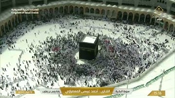 الشيخ المعصراوي رواية رويس عن يعقوب سورة البقرة كاملة.