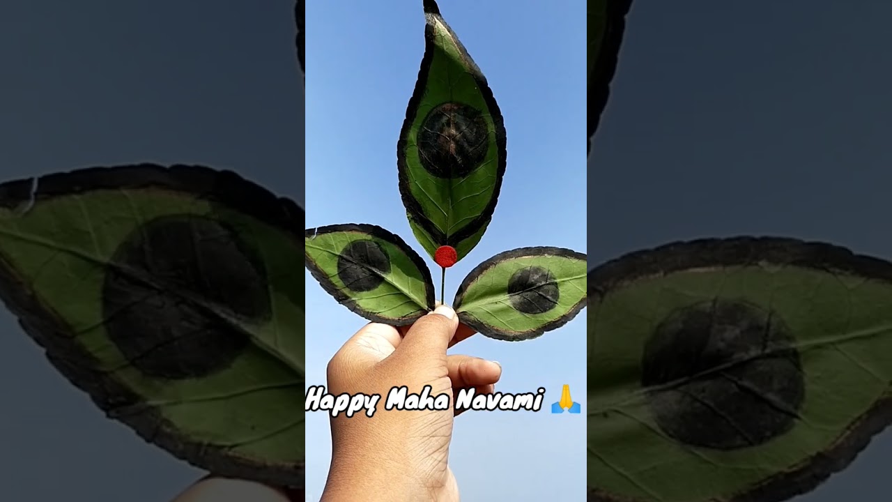 Happy Durga Puja 🙏🙏🙏 ll Happy Maha Navami 🙏 ll 