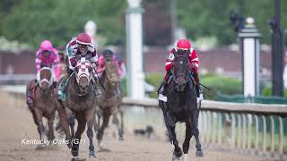 Serengeti Empress - The 12Th Kentucky Oaks Winner Raisedsold By Taylor Made Farm