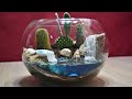 Amazing Cactus Terrarium with Waterfalls