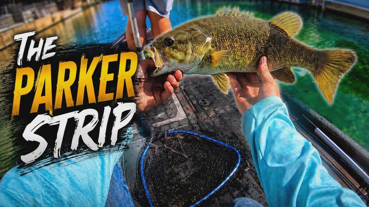 Fishing For Big Smallmouth Bass At The Parker Strip, Arizona