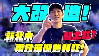 【藍箱水族】大改造更換造景神奇黏土魚缸翻缸GO