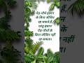 true lines#motivational#shortfeed #viral#short#vira#motivationalquotes