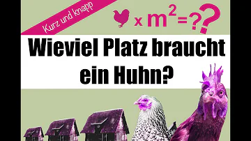 Wie viel Weidefläche braucht ein Huhn?