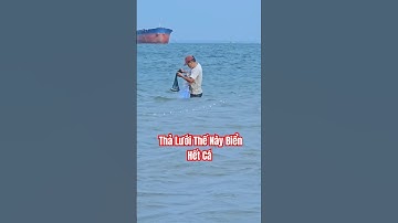 Thả Lưới Thế Này Biển Hết Cá #fishing #shorts #fishinglife