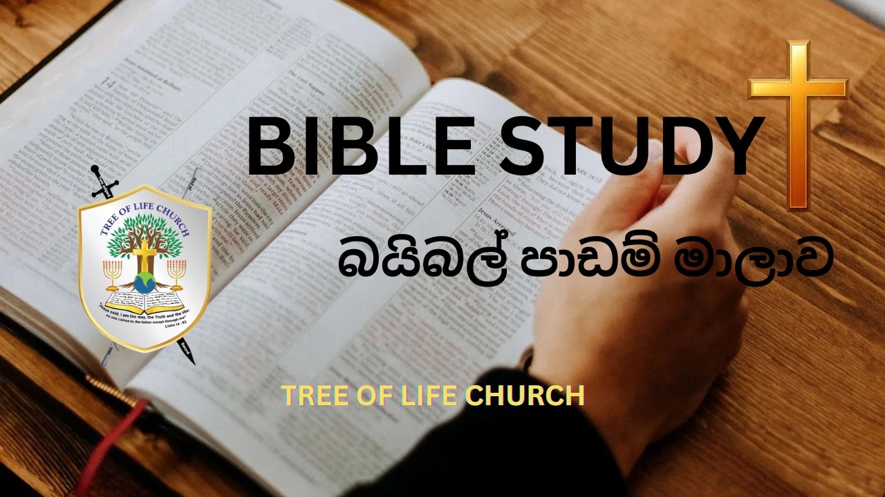 ශු යොහන් 6 : 29🔥✝️ ඔබගේ ජීවිතයේ යේසුස් වහන්සේ සිටීනම්🙏🏻🙏🏻, ඔබ‍ට ඕනෑම දෙයක් විසදා ගන්න බලය ඇත. 🔥