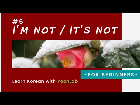 Korean Grammar #6 l Noun Negation N이/가 아니에요