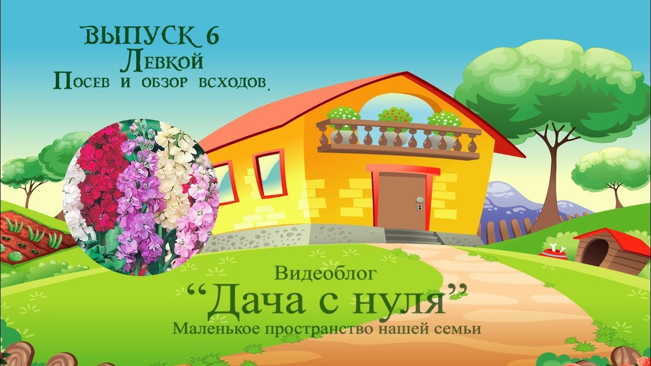 Дача с нуля. Про посадки: сеем Левкой