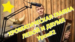 Впервые в ютубе! Хроматическая гамма ЛЕВОЙ рукой на баяне! Урок#2