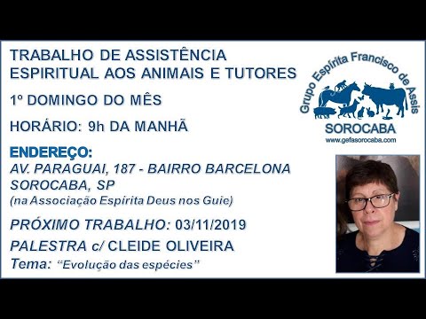 Assista: Palestra presencial - com CLEIDE OLIVEIRA (03/11/2019)