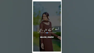 احمد نواز چھینہ 