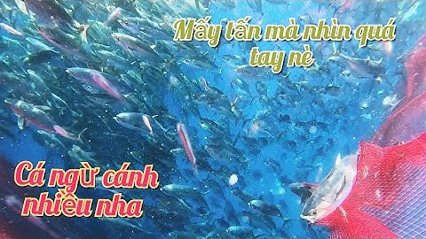 Bao vây bầy cá đầu tiên trong ngày thật may mắn|Đánh cá 2025|Sóng biển hứa đông