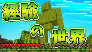 【Minecraft】引爆經驗值的核彈滿滿經驗值的世界一秒升級等中文字幕麥塊【模組】