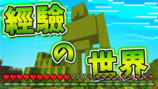 【Minecraft】引爆經驗值的核彈？！滿滿經驗值的世界！一秒升級９９９９等💚中文字幕｜麥塊【模組】