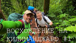 Восхождение на Килиманджаро. #1. Прилёт в Танзанию.