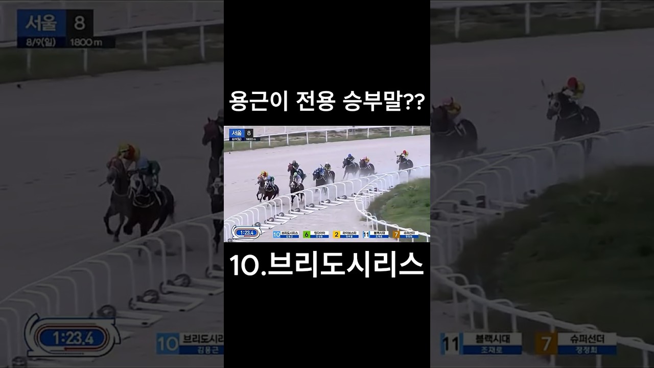 용근이 전용 승부말~   #경마  #경마예상  #경마방송  #경마예상방송  #서울경마  #금요경마  #토요경마  #일요경마 #경마장