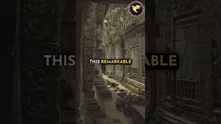Ancient Traditions, One Unique Religion!