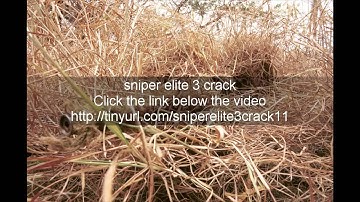 dwonload Sniper Elite 3 Crack!