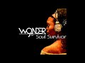 Capture de la vidéo 9Th Wonder Vs. Hip-Hop Classics | Soul Survivor (Full Album)