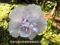 ありのままのあなたで