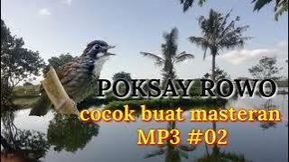 poksay rowo gacor cocok buat masteran